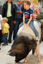 A boy enjoys a piggy back ride on the back of Rosie the pig at Eagles Flying, Irish Raptor Research Centre, Ballymote, County Sligo, North West Ireland A boy enjoys a piggy back ride on the back of Rosie the pig at Eagles Flying, Irish Raptor Research Centre, Ballymote, County Sligo, North West Ireland