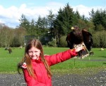 Young visitor with raptor at Eagles Flying, Irish Raptor Research Centre, County Sligo, North West Ireland Young visitor with raptor at Eagles Flying, Irish Raptor Research Centre, County Sligo, North West Ireland