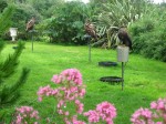 Birds of prey in the grounds of Eagles Flying, Irish Raptor Research Centre, County Sligo, North West Ireland Birds of prey in the grounds of Eagles Flying, Irish Raptor Research Centre, County Sligo, North West Ireland