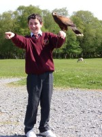 School boy handling bird of prey at Eagles Flying, Irish Raptor Research Centre, County Sligo School boy handling bird of prey at Eagles Flying, Irish Raptor Research Centre, County Sligo