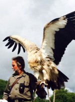 Eagles Flying Founder and Zoologist Lothar F. Muschketat with a Himalayan Vulture -  Irish Raptor Research Centre, Ballymote, County Sligo